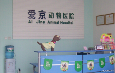 北京爱京动物医院