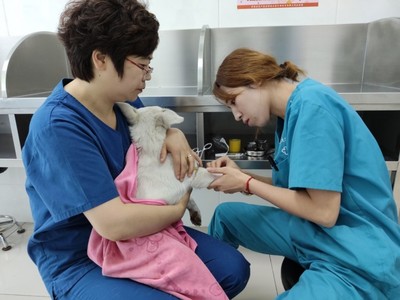 沈农禾丰动物医院面面观