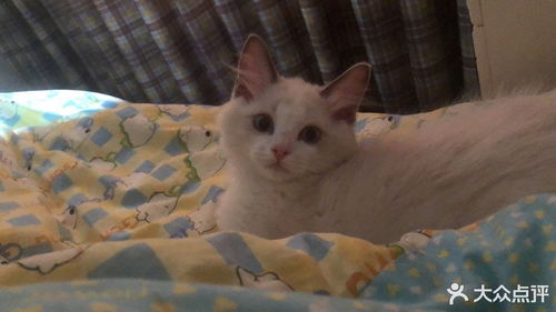 宠颐生动物医院吉林鑫皮皮分院 专业守护您的爱宠健康