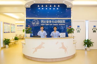 芭比堂爱心动物医院 守护宠物健康的温馨家园