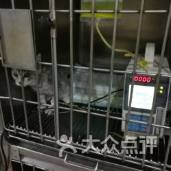 名望动物医院渝中店 守护山城爱宠健康的专业港湾