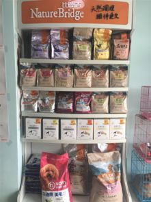 百色市宠物服务全览 从用品、医疗到美容寄养的一站式指南