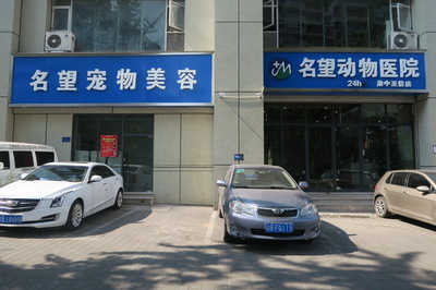 渝名望宠物医院乔迁新址，以崭新面貌守护山城爱宠健康