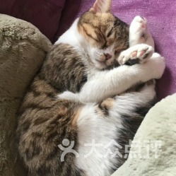 宠福鑫动物医院通州分院 守护宠物健康的温馨港湾