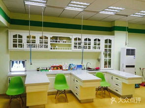 联合动物医院 守护您爱宠的健康家园