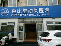 芭比堂动物医院（桥东分院） 宠物健康守护站，专业与关爱同在