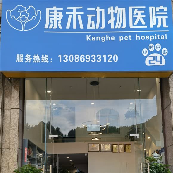 康禾动物医院 关爱伴侣动物的专业守护者
