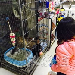 石家庄芭比堂动物医院 全方位解读就诊指南