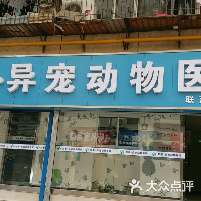 邦泰异宠动物医院 北京宠物医疗的新选择