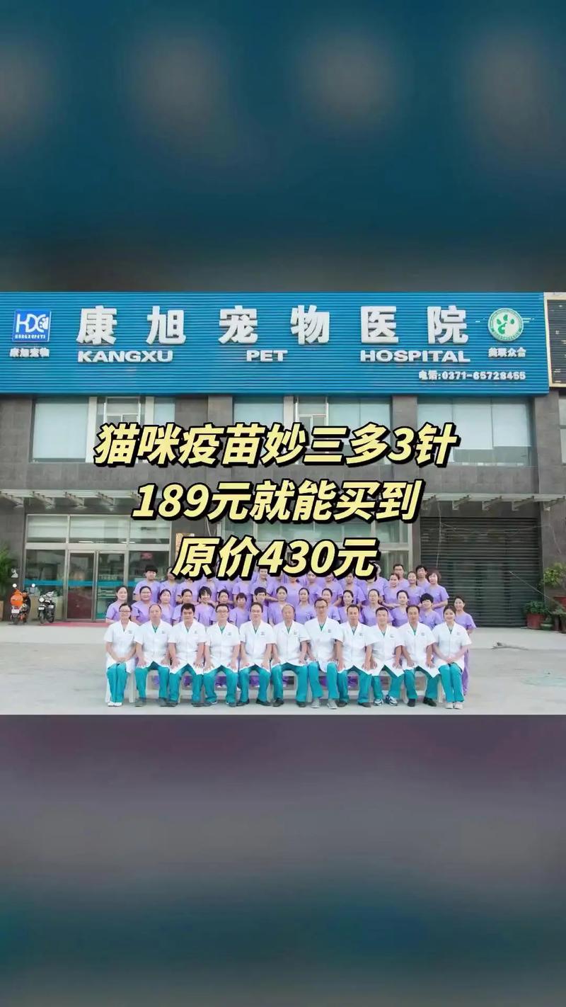 康旭宠物医院,爆款来袭,猫咪疫苗